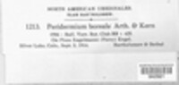 Image Associated With the Occurence